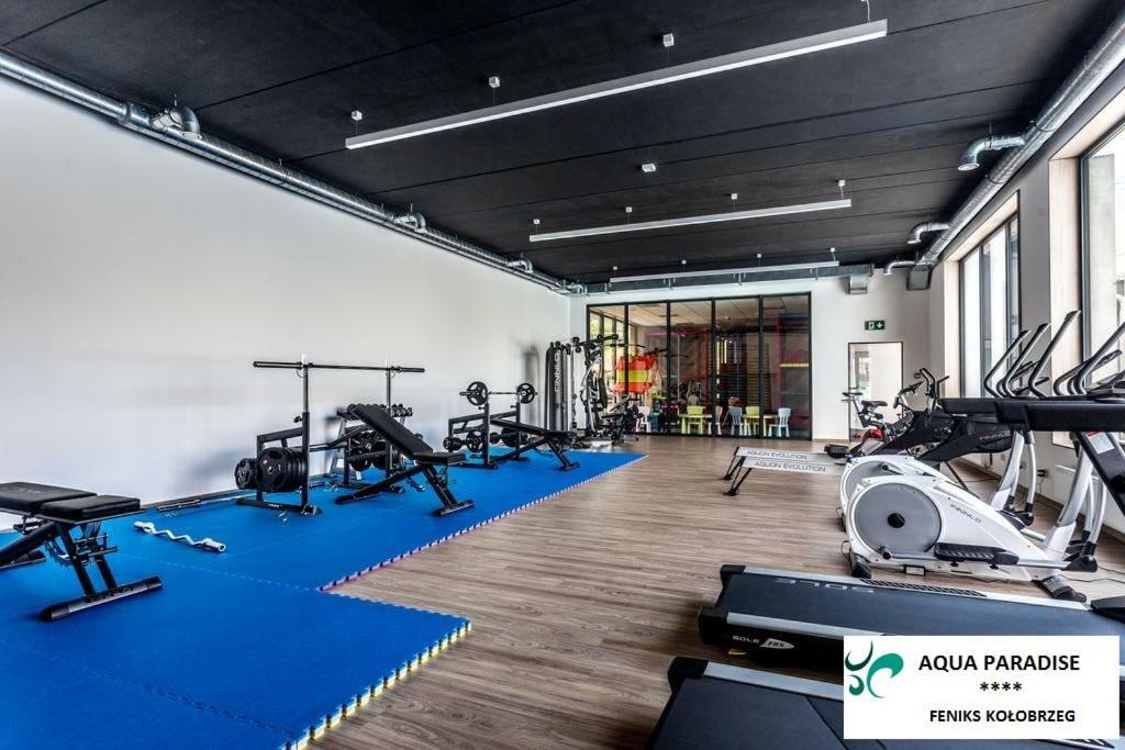 Apartament Feniks Aqua Paradise *