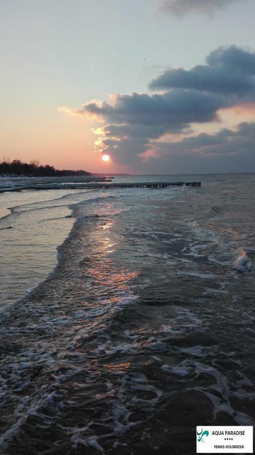 Apartament Feniks Aqua Paradise Apartment Kolobrzeg